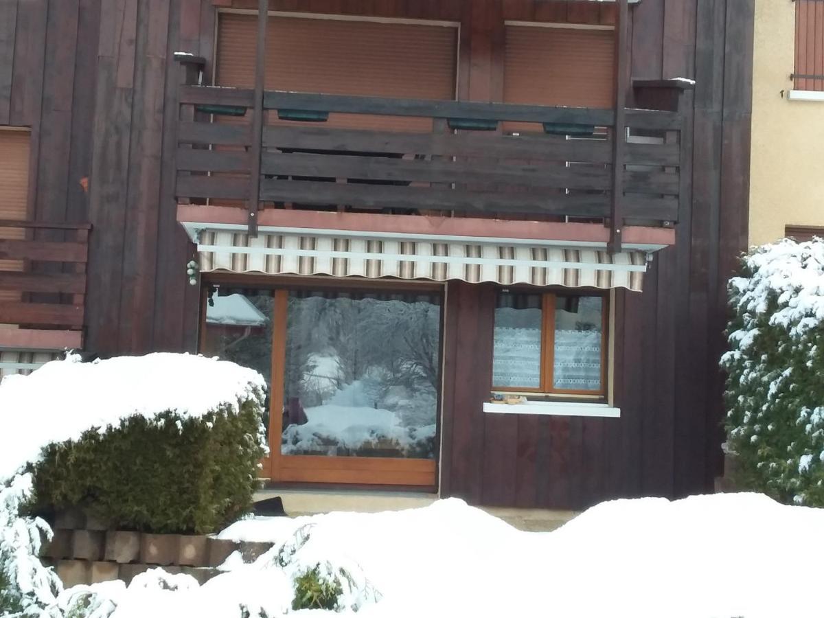 Charmant Duplex De 45M², 2 Chambres, Jardin, Garage, Villard-De-Lans - Fr-1-515-51 Villard-de-Lans Exterior foto